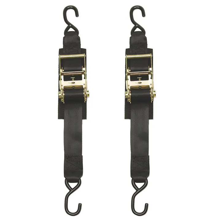 BoatBuckle-F14206