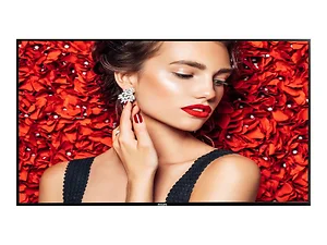 55BDL4031D | Philips 55-Inch FHD Commercial Display for