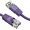 C6MB-P40-AX | Axiom 40FT CAT6 Ethernet Cable - 550MHz,