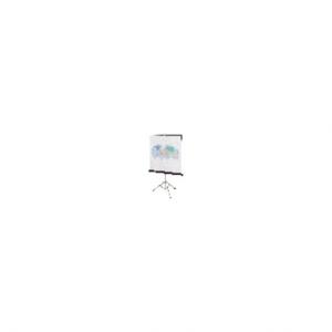 Quartet QRT570S Portable Tripod Projection Screen 70x70 99 Diagonal Wh