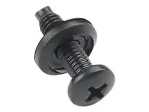 PTSW100 | Chief 100-Pack Phillips Truss Screws with Washers