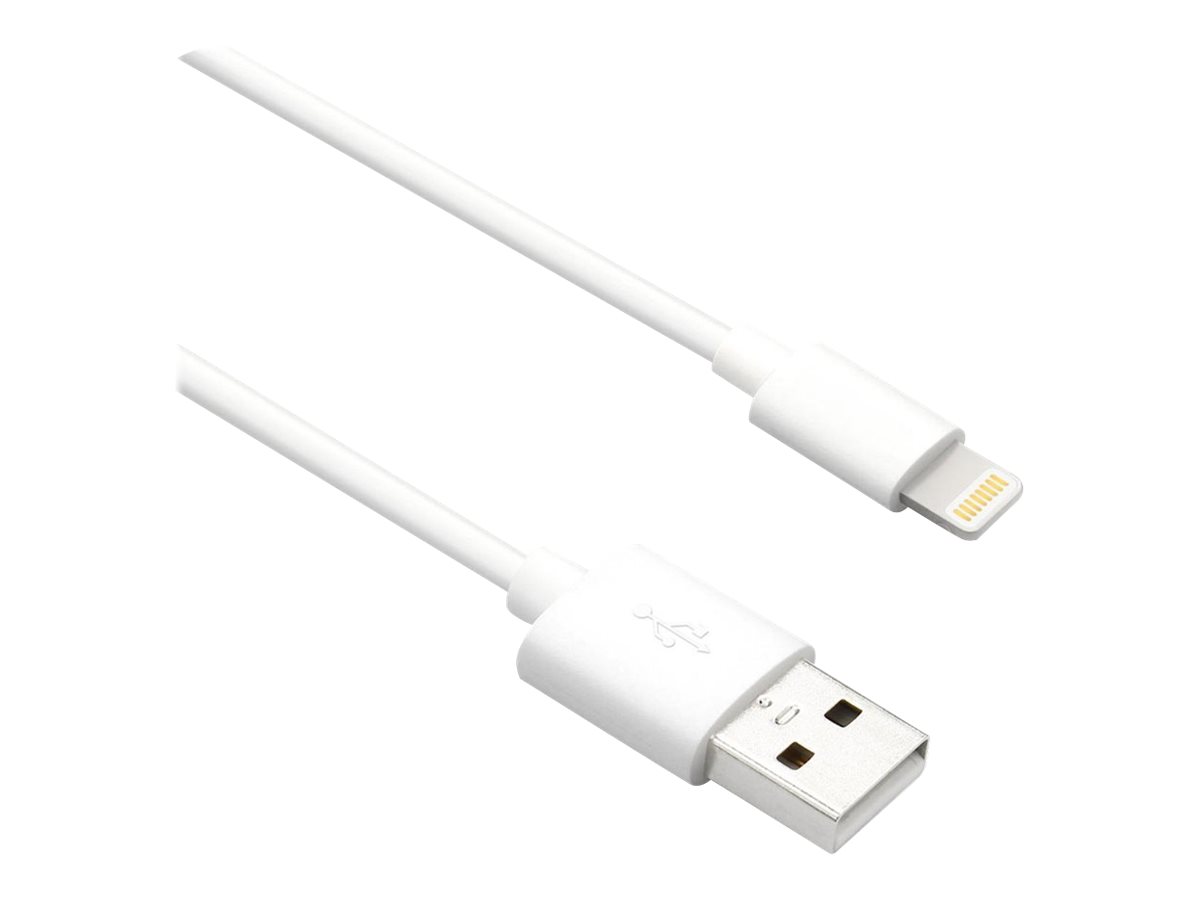 Axiom LGMUSBAMW06-AX Lightning To Usb-a Mm Adapter Cable - White 6ft