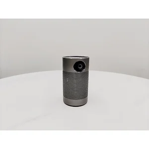 98-500-30100-100 | Global Aiptek Inc Usa HP MP250 Portable