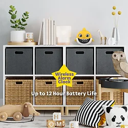 DP Audio Video-ALM204