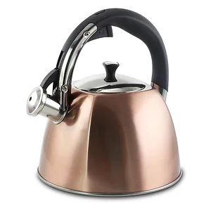 111928.01 | Mr Coffee Mr Coffee Belgrove 2.5 Quart Copper