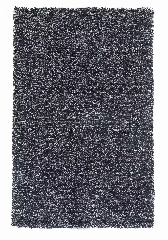 Homeroots.co 349873 7' X 9'  Polyester Black Heather Area Rug