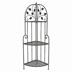 Plutus Brands-PBTH92449