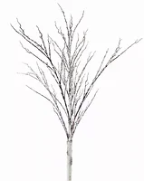 Melrose International-81562DS