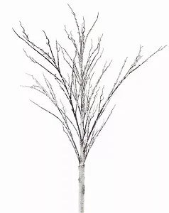 81562DS | Melrose International Icy Birch Branches - 50