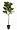 74531DS | Melrose International Lifelike Potted Fiddle Leaf