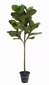 74531DS | Melrose International Lifelike Potted Fiddle Leaf