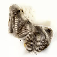 Plutus Brands-PBSF1516-114x120