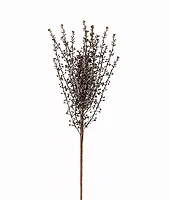 Melrose International-81127DS