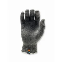 Ghs Holdings Inc-BBG-GRAY-XS