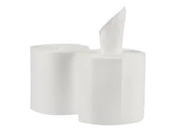 GEORGIA PACIFIC-29700