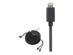 CHARGETECH ENTERPRISES-CT-110019