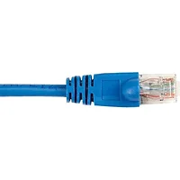 BLACK BOX INNOVATIONS-CAT6PC-004-BL-10PAK