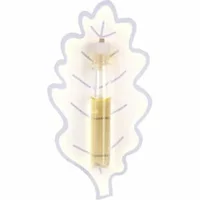 Ines De La Fressange-201325