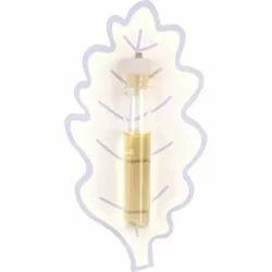 Ines De La Fressange-201325