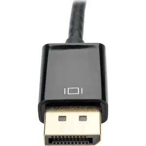 Tripp P13406NDVIV2 6in Displayport To Dvi Adapter Active Converter Mf 