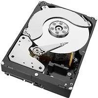 SEAGATE-ST8000NM006A
