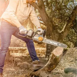 Positec WG385 Worx Nitro 40v Power Share Cordless 16 Chainsaw With Bru