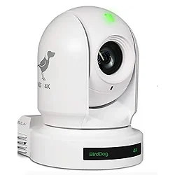 BirdDog-BDP4KWHITE