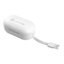 JLab-EBJBUDSAIRRWHT82