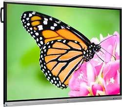 BOXLIGHT-PROCOLOR 863U+