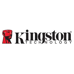KINGSTON-SDR2/256GB