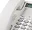 Panasonic Panasonic Standard Phone - White - 2 x Phone Line