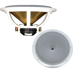 DC GOLD AUDIO-N9.5R WHITE 4 OHM