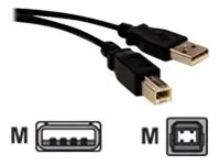 Bytecc USB2-10AB-K Usb 2.0 Cable- A Male To Type B Male