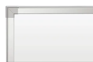 V12H006A02 | Epson 100