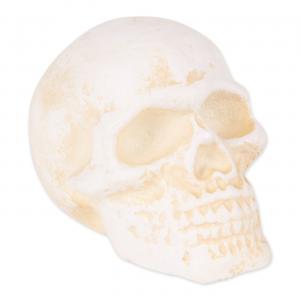 Accent 4506401 Small Cast Iron Skull Figurine Or Paperweight