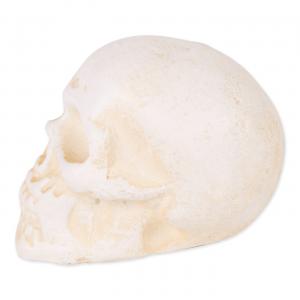 Accent 4506401 Small Cast Iron Skull Figurine Or Paperweight