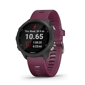 010-02120-01 | Garmin Forerunner 245 GPS Smartwatch - Berry