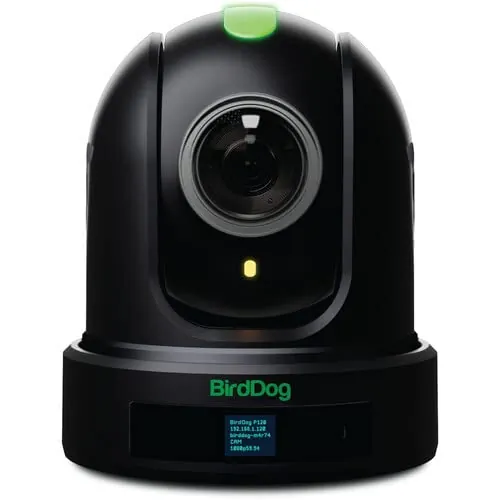 BirdDog-BDP110B