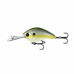 13 Fishing-JJC60-79-61