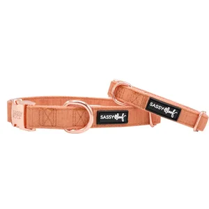 Sassy Woof Stylish Adjustable Dog Collar - Medium, Orange