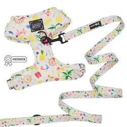 Sassy Woof-GMA-BEACH-S