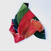 A Curious Beast-1449031