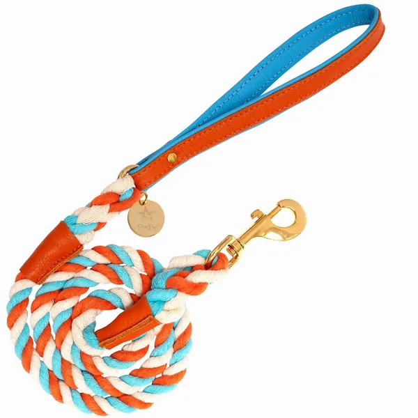 Poisepup 1473-263 Dog Leash (pack Of 1)