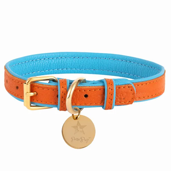 Poisepup 1473-288 Dog Collar (pack Of 1)