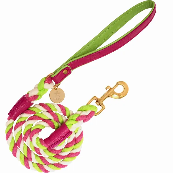 Poisepup 1473-262 Dog Leash (pack Of 1)