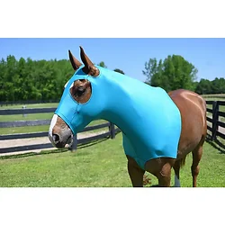 Adventure Products-5-984137