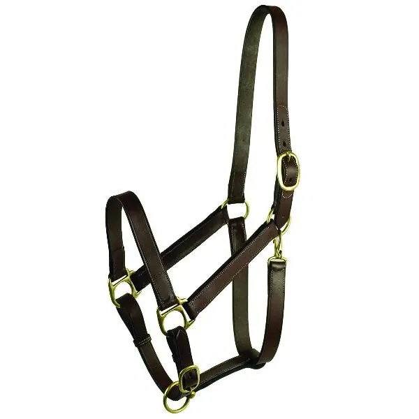 Adventure 5-105599 Gatsby Adjustable Turnout Halter With Snap (pack Of