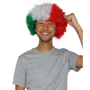 Goods HM-720A Mexican Flag Afro Wig (pack Of 1)