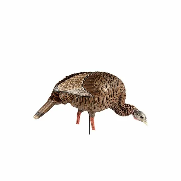 Avianx AVX-AVX8107 Avian-x Hdr Feeding Hen Decoy