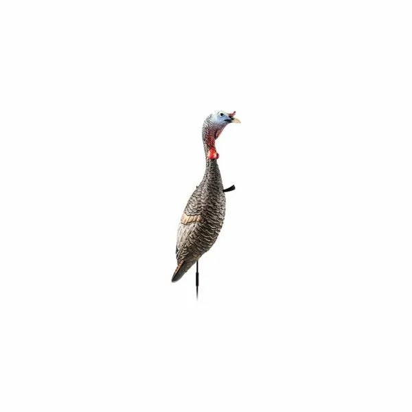 Flextone FLXDY330 Funky Chicken Gen2 Turkey Decoy